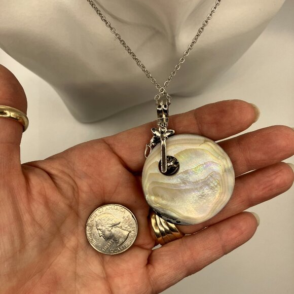 Natural Abalone Shell Paua Shell Large Pendant 18 inch Stainless Steel Chain - Picture 4 of 13